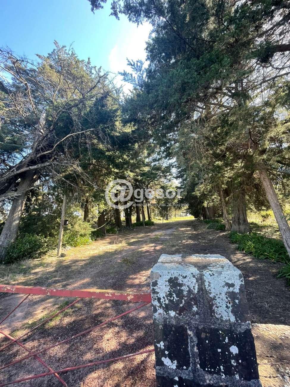 Image4